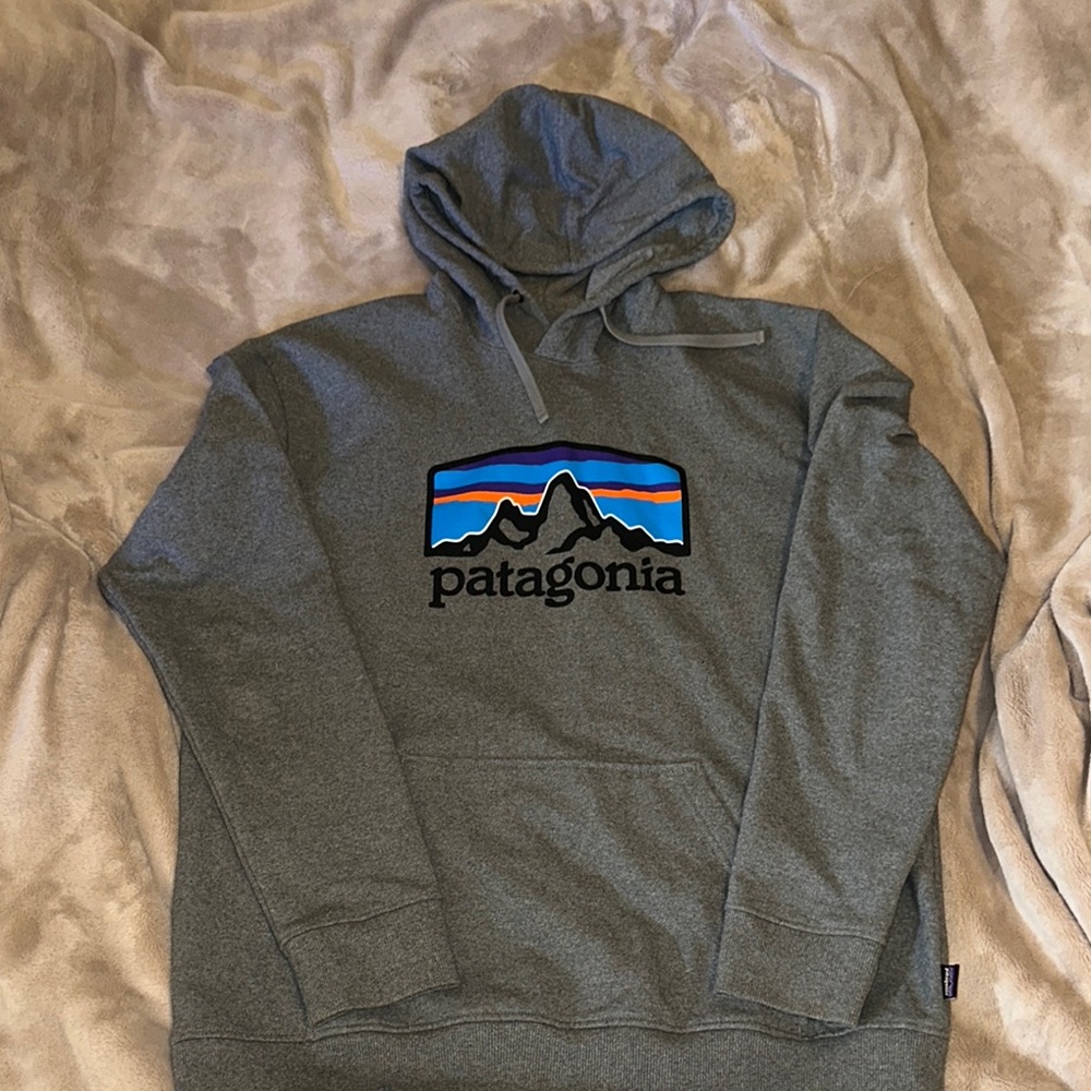 Patagonia Gray Hoodie for Men